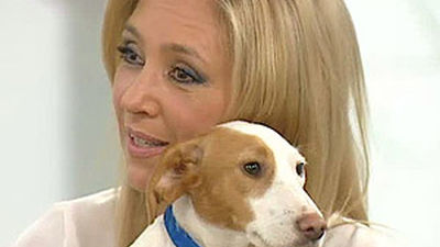 Bustamante, canta, desfila...