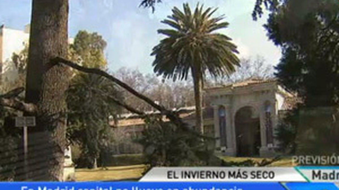 El jardín botánico, loco por la falta de lluvias