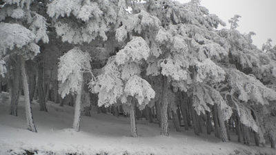 La nieve restringe el tráfico de camiones en Somosierra, según la DGT
