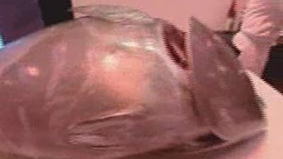 El arte del ronqueo en el Salón del Gourmet