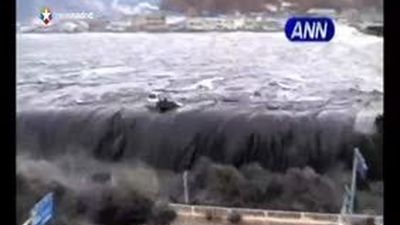 Desaparece la radioactividad en la pesca de la costa noreste de Japón