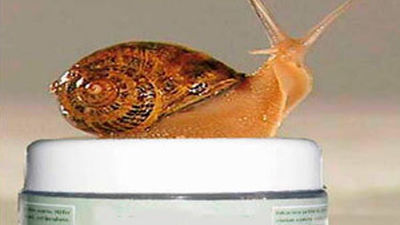 Baba de caracol ¿Milagro o mentira?
