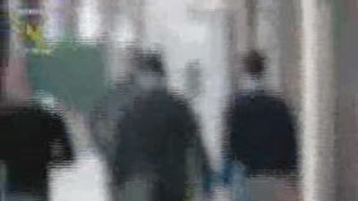 Prisión para el capo mafioso Polverino por blanqueo y asociación ilícita