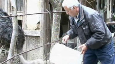 Japón abre, después de un año, parte de la zona de exclusión en Fukushima