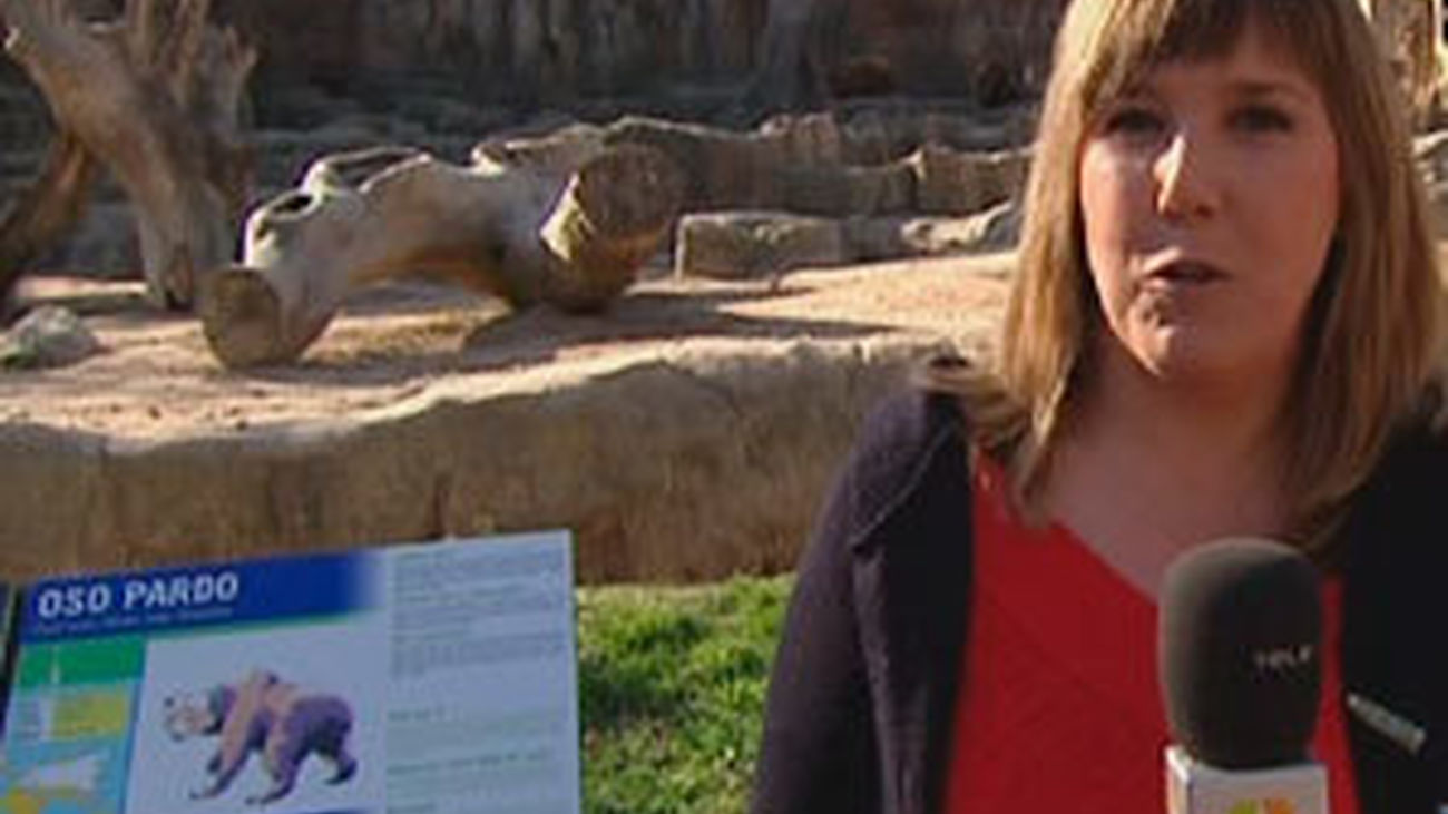 La primavera se adelanta en el Zoo