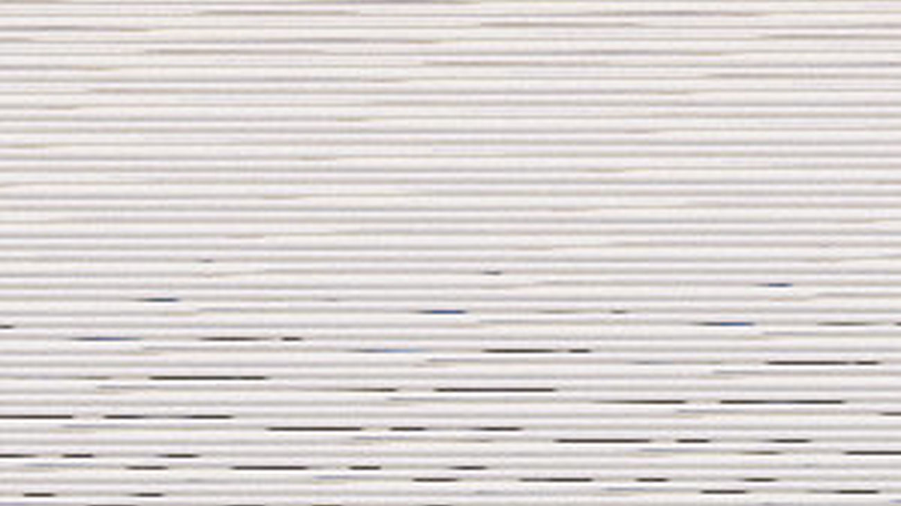 Carcaño pide la rebaja de su condena