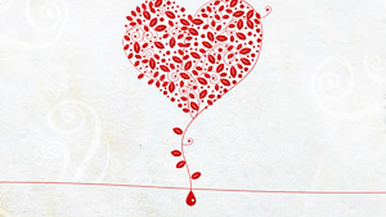 Más sangre más vida 2012