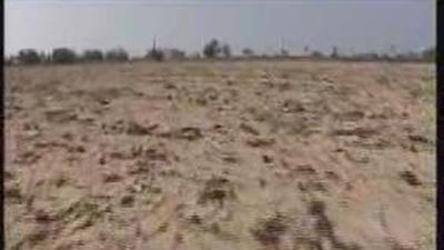 Las lluvias primaverales no paliarán la sequía