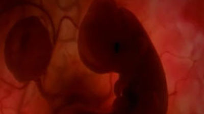 Madrid acoge este sábado la gran Gala en Defensa de la Vida