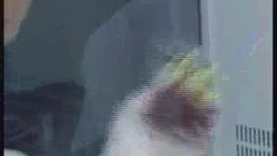 En busca de sangre artificial