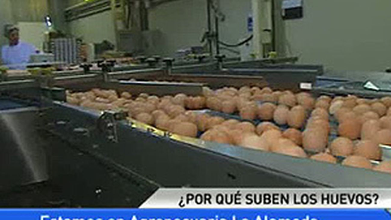 ¿Por qué los huevos están tan caros?