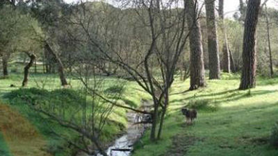 En Majadahonda comienzan los trabajos de limpieza para evitar incendios en el Monte del Pilar