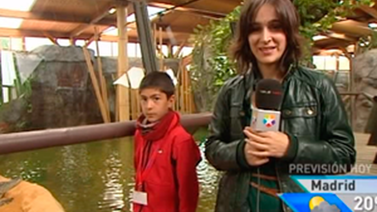 Campamentos urbanos para los peques