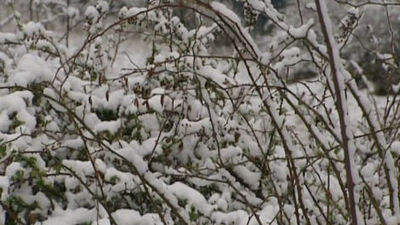 La nieve atrapa durante horas a cientos de conductores en Inglaterra