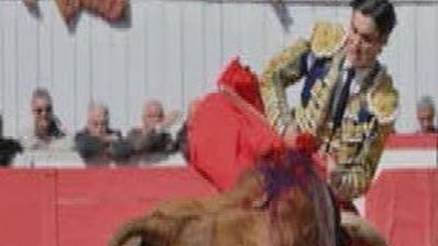 Ángel Teruel sufre una espectacular cornada en Arles que le raja la cara