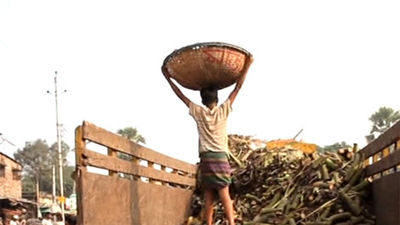 La esclavitud infantil sigue existiendo y Occidente se beneficia de ello