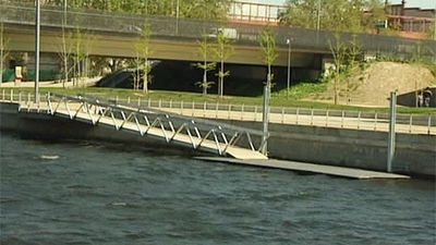 Aparecen cientos de peces muertos en Madrid Río