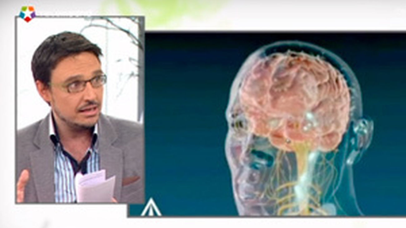 ¿La inteligencia se hereda?