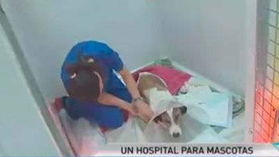 Cinco años depués, ¿dónde está Madeleine?