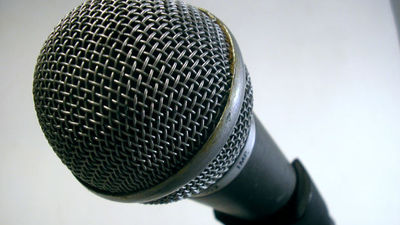 Niños sordos y universitarios norteamericanos,  actuan hoy en inglés en un concurso en Boadilla