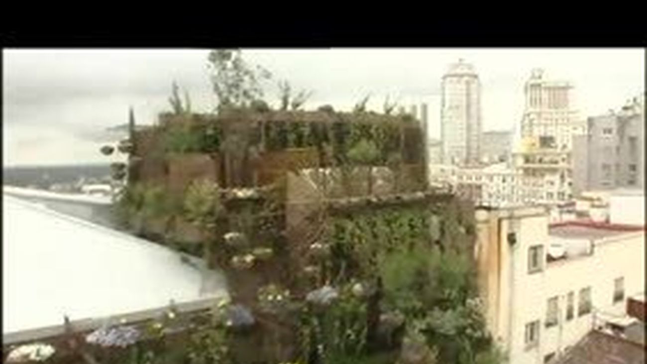 El jardín vertical más grande del mundo