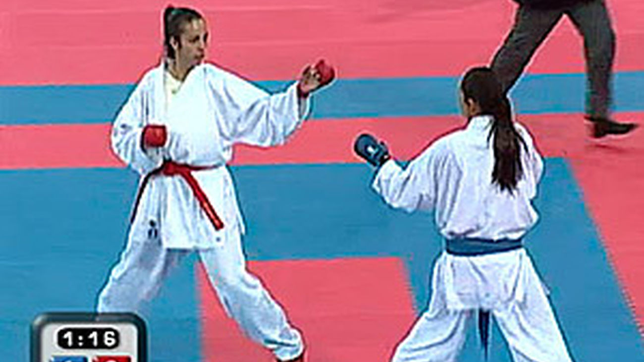 Karate Villa de Madrid