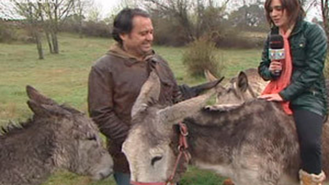 Paseos en burro por la Dehesa