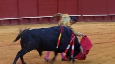 David Mora corta una oreja de un gran toro de El Pilar