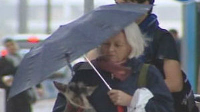 "Extremen  las medidas de seguridad" ante el temporal de viento