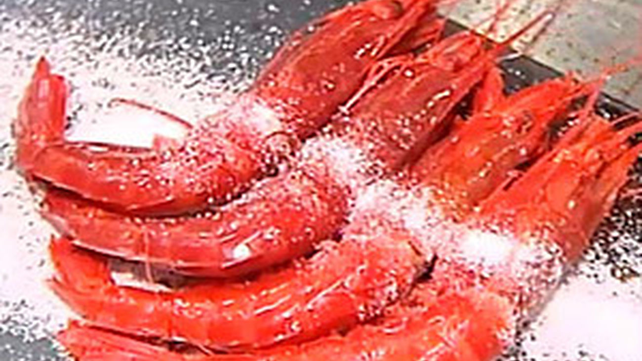 Jornadas de carabineros