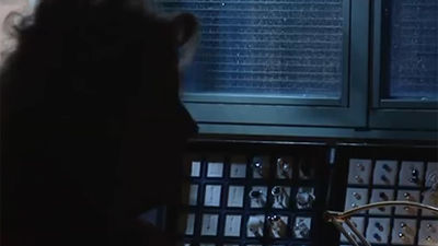 Bajan un 54% los homicidios en Madrid pero sube la delincuencia violenta y los robos en casas