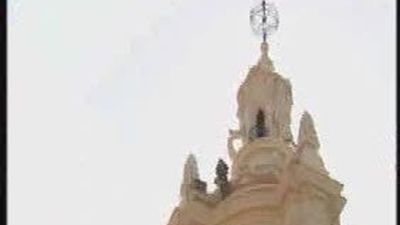 Anillados los dos pollos de halcones peregrinos del Museo de América