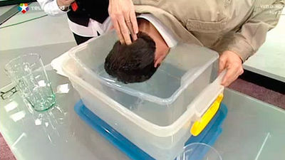 ¿Cuánto pesa la cabeza?