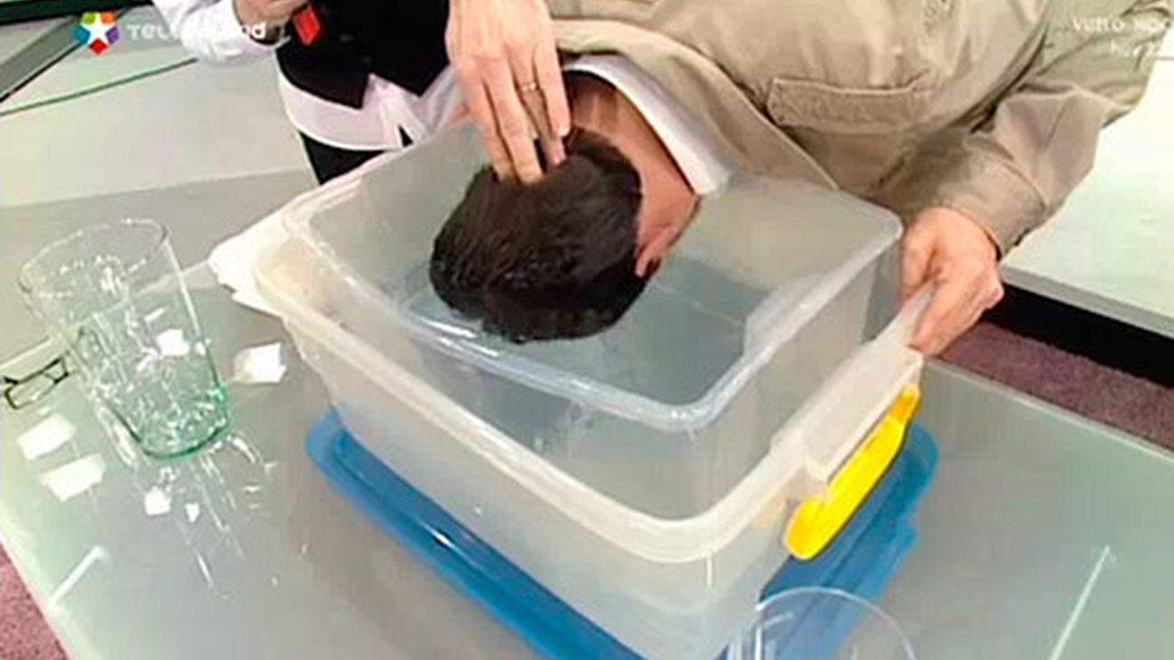 ¿Cuánto pesa la cabeza?