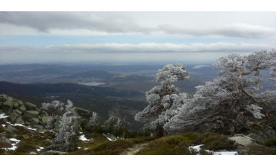 Rescatadas cinco personas, entre ellas menores, atrapados en un árbol en la zona de Siete Picos de Guadarrama
