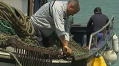 La policía de Gibraltar vuelve a hostigar a cinco pesqueros de Algeciras