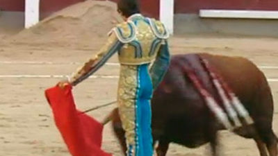 San Isidro 2012: 15ª de la Feria