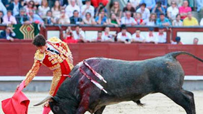 San Isidro 2012: 21ª de la Feria