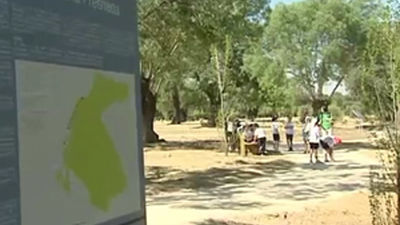 Casi un 69% de municipios de Madrid han comenzado a instalar energías renovables