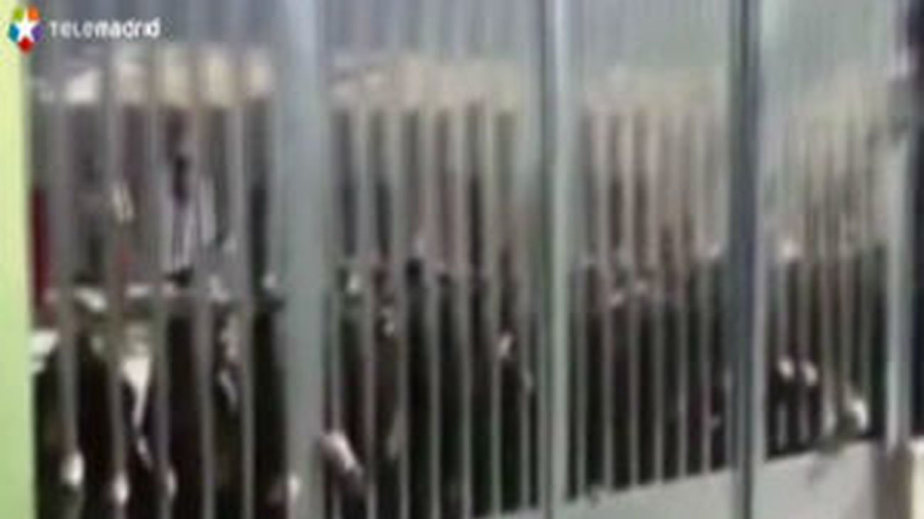 Barrendero Bob Esponja