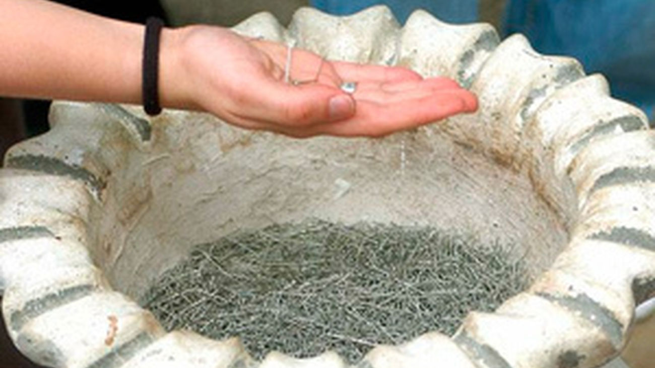 Si buscas novio, vente a la Ermita