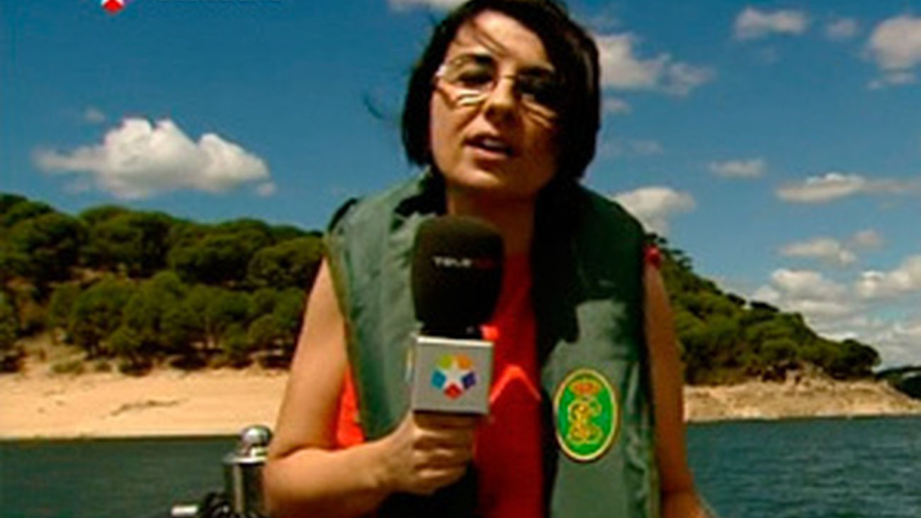 Los vigilantes del pantano