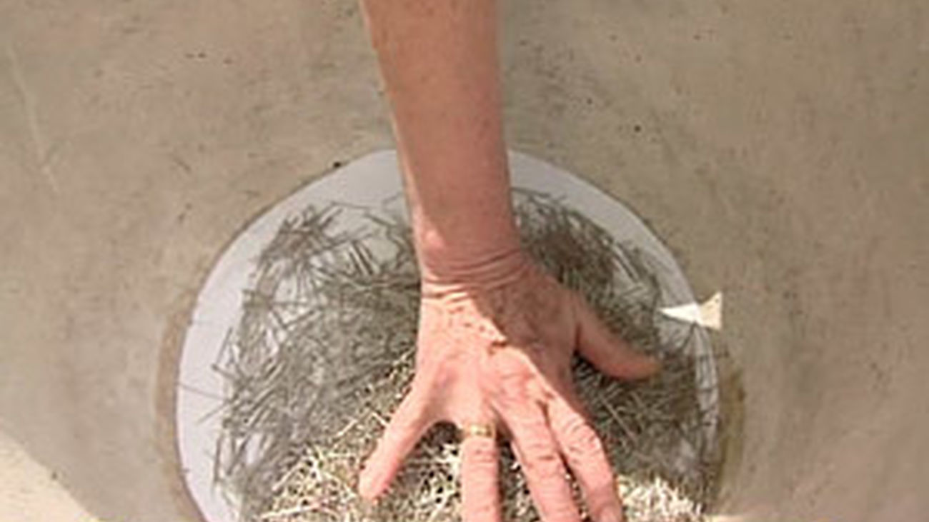 Un año más buscando novio