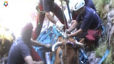 Los bomberos, preparados para enfrentarse a todo tipo de rescates inesperados