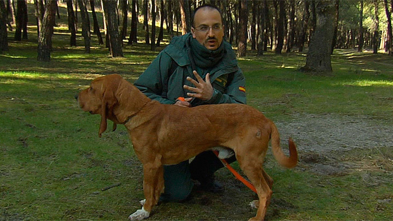 Agente Especial: capítulo 1