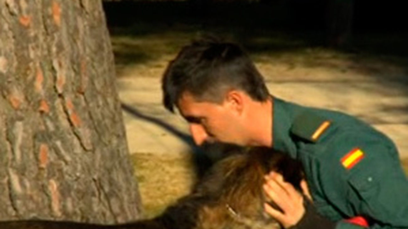 Agente especial: capítulo 2