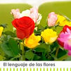 El lenguaje de las flores