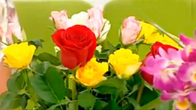 El lenguaje de las flores