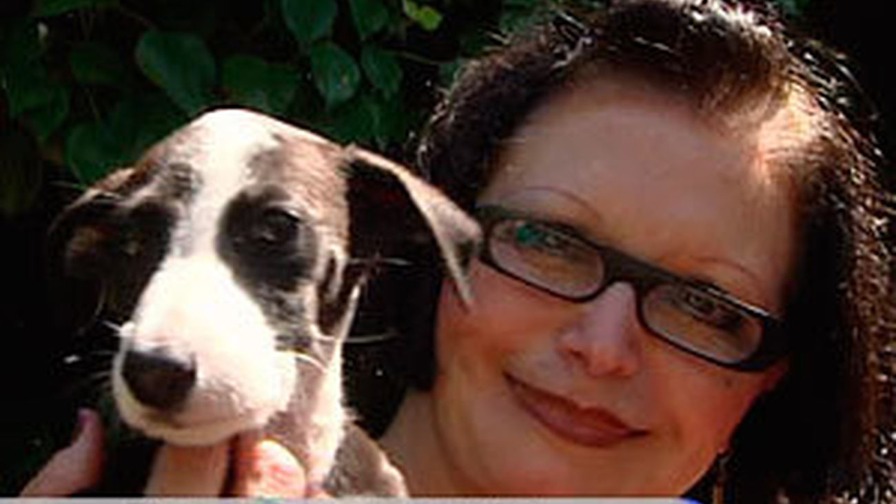 El ángel de los galgos