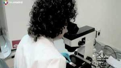 Científicos madrileños investigan un gel que puede evitar la infección por VIH